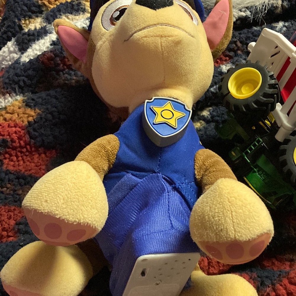 Paw patrol